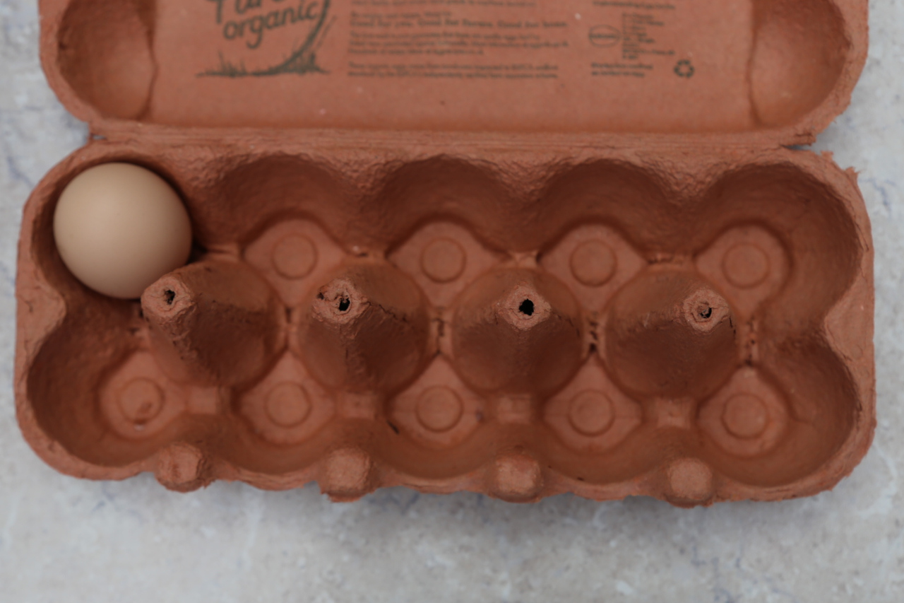 Real eggs in ten frame egg box