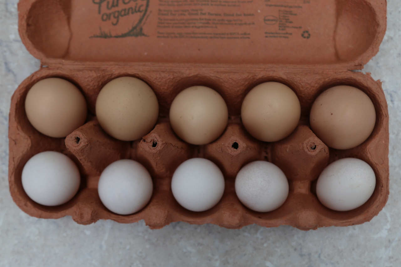 Real eggs in ten frame egg box