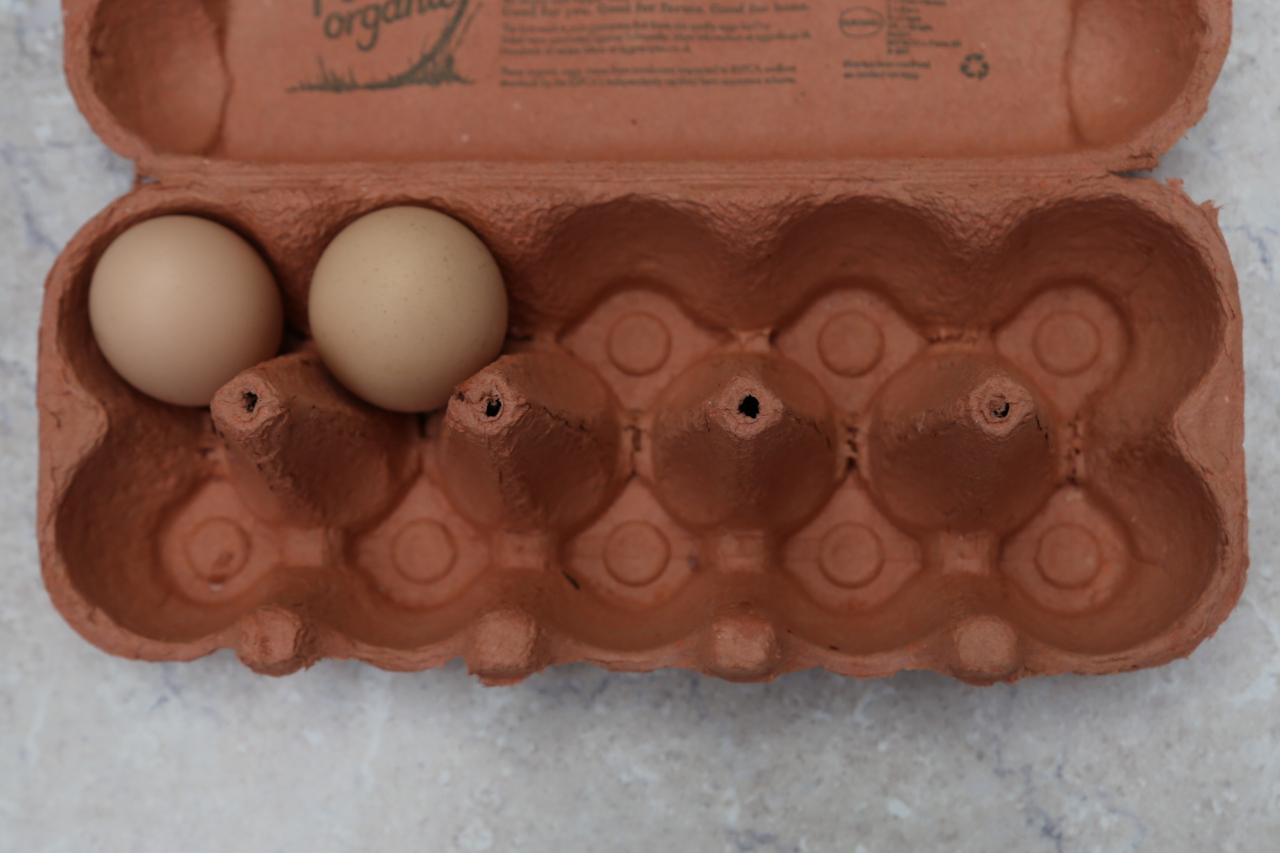 Real eggs in ten frame egg box