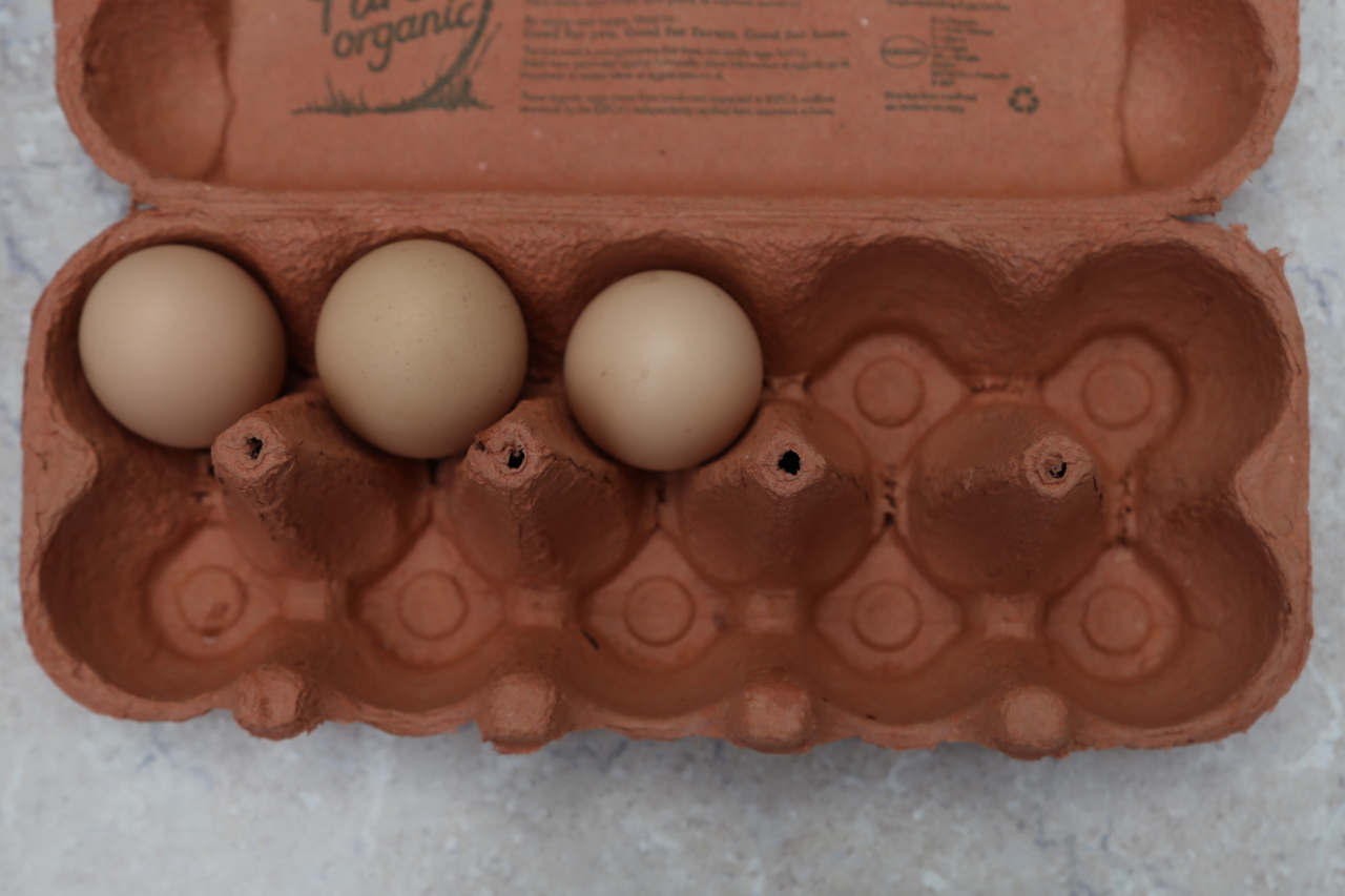 Real eggs in ten frame egg box