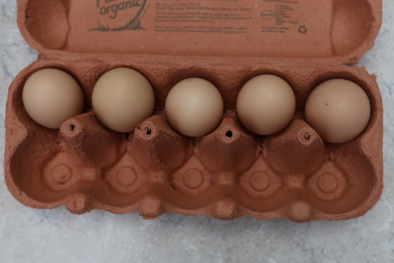 Real eggs in ten frame egg box
