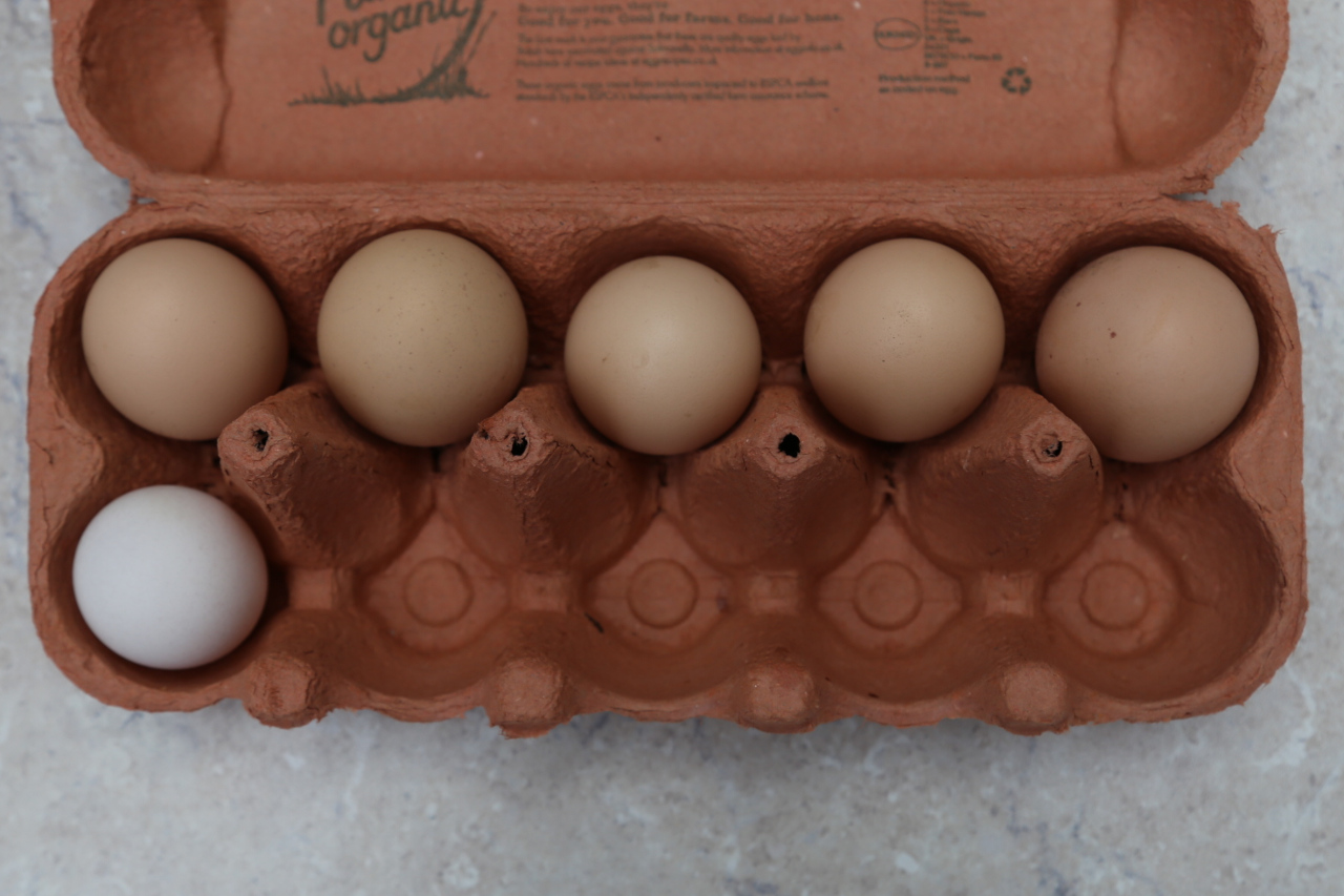 Real eggs in ten frame egg box