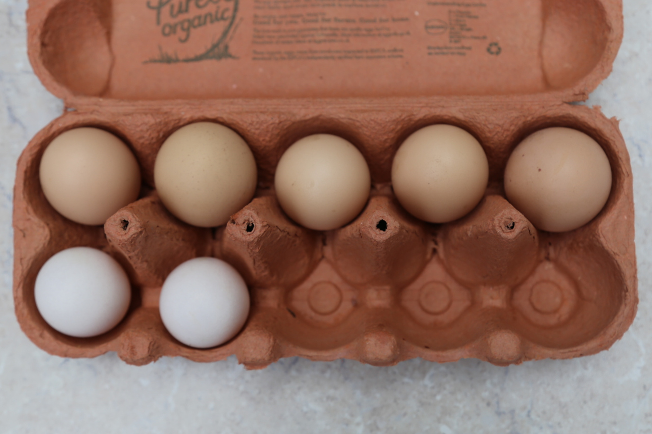 Real eggs in ten frame egg box