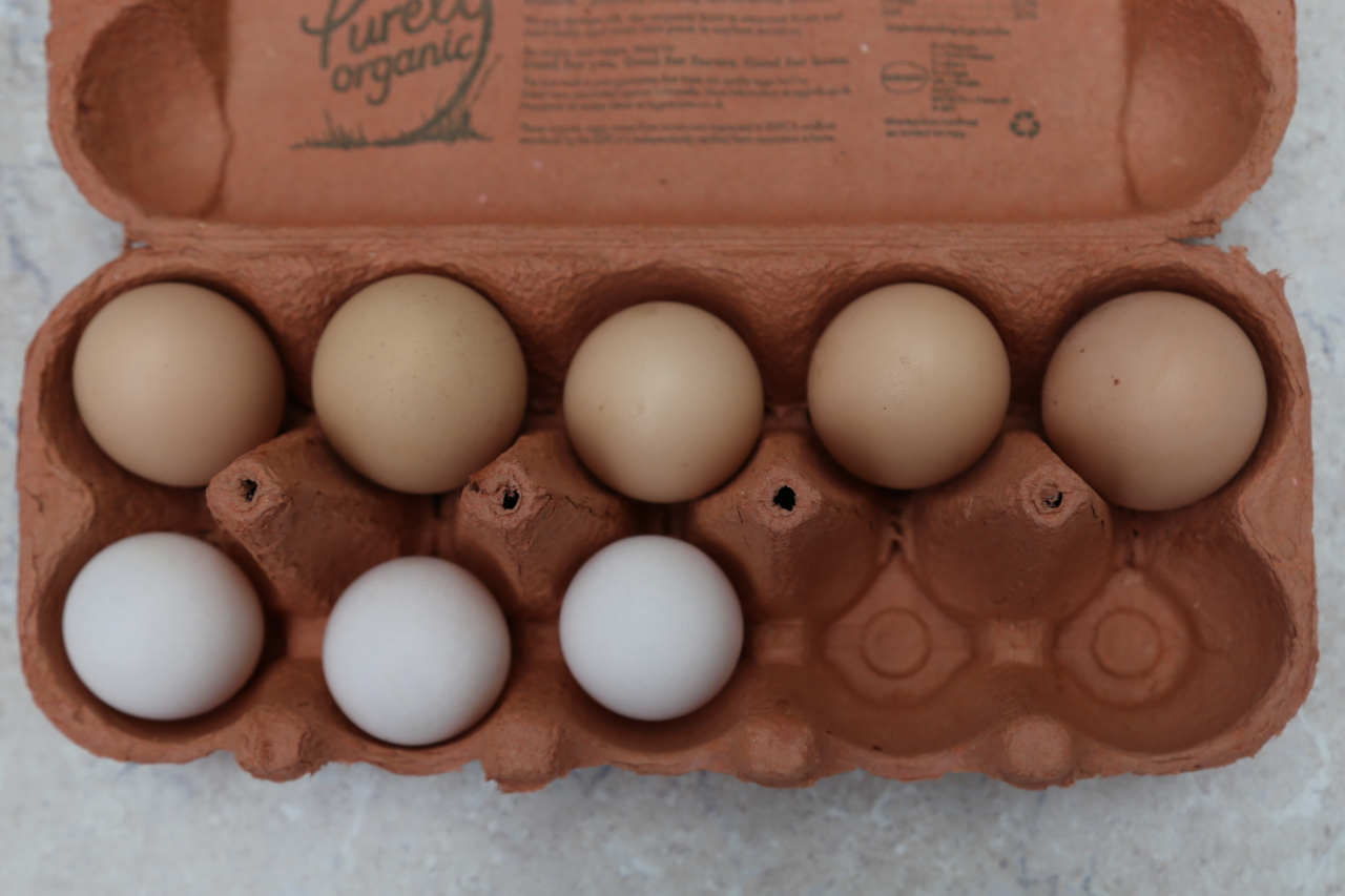 Real eggs in ten frame egg box