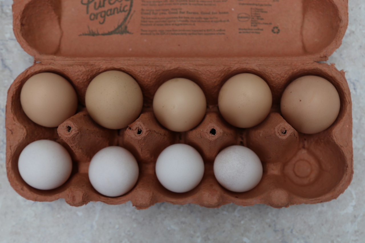 Real eggs in ten frame egg box