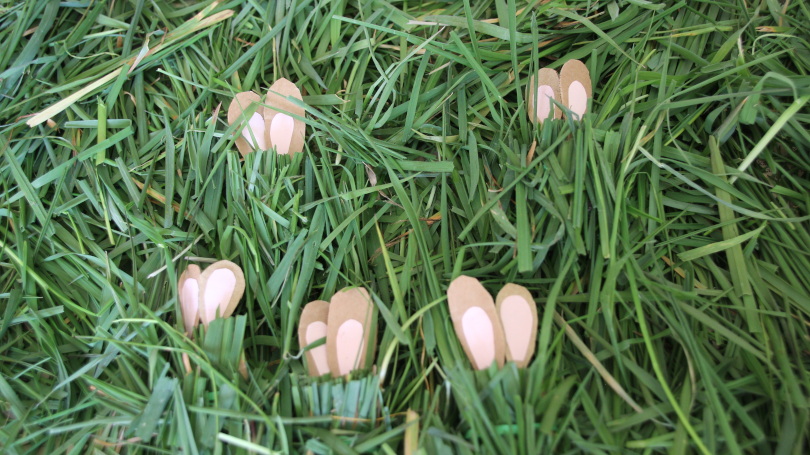 ten bunny ears showing as five bunnies hide in the grass to practise division 10 divided by 2=5