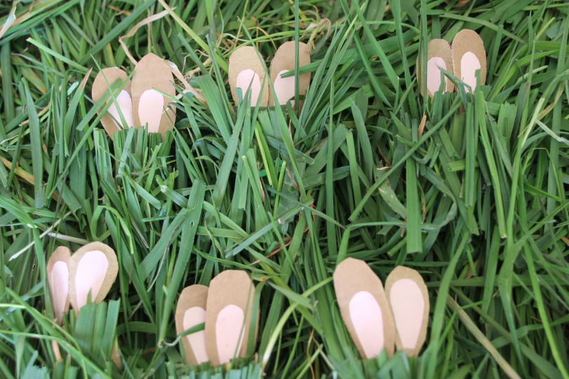 twelve bunny ears showing as six bunnies hide in the grass to practise division 12 divided by 2=6