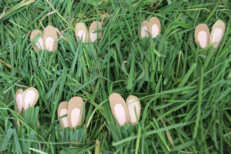 fourteen bunny ears showing as seven bunnies hide in the grass to practise division 14 divided by 2=7