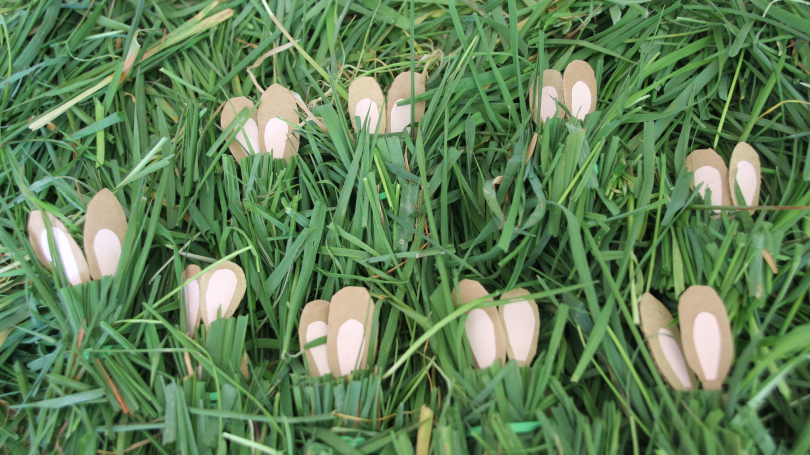 eighteen bunny ears showing as nine bunnies hide in the grass to practise division 18 divided by 2=9