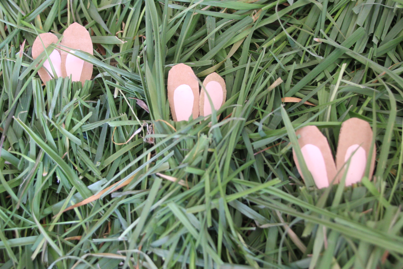 six bunny ears showing as three bunnies hide in the grass to practise division 6 divided by 2=3